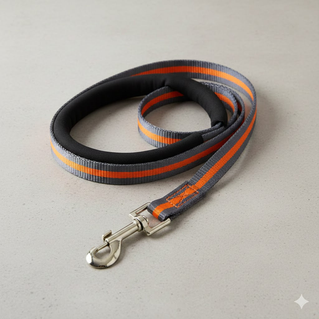 Reflective Nylon Dog Lead with Padded Handle